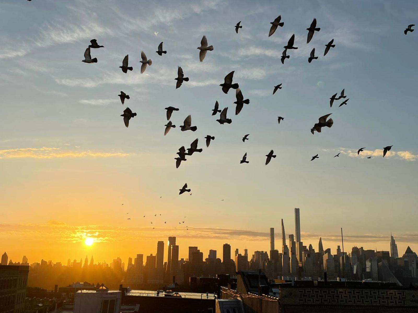 Appartamento Ny Skyline One Of A Kind View Union City Esterno foto